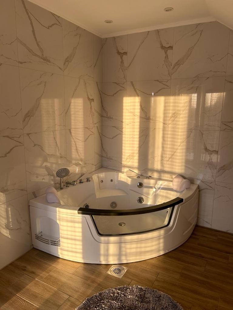 Villa Ronic Soko Banja Exteriér fotografie
