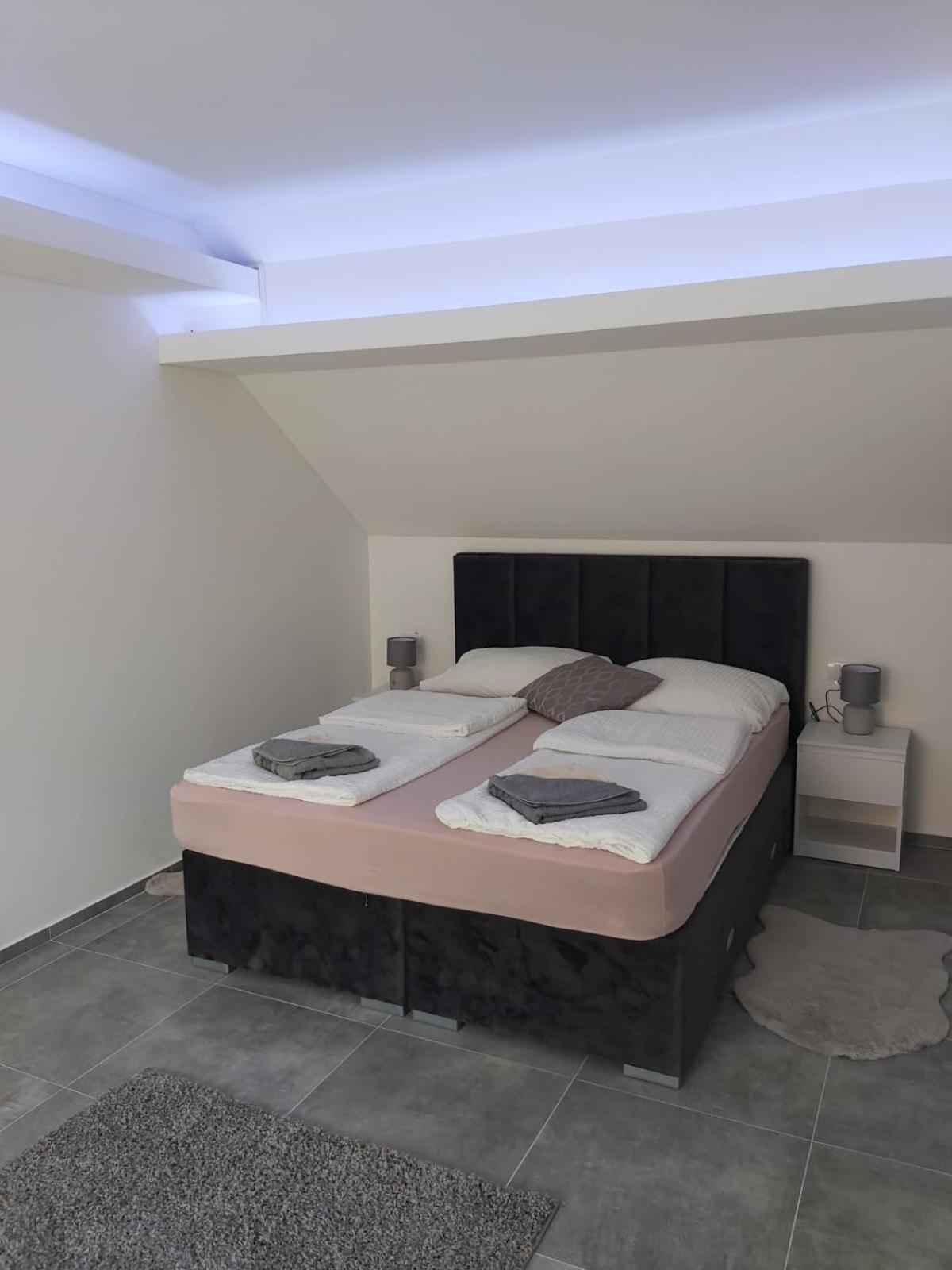 Villa Ronic Soko Banja Pokoj fotografie